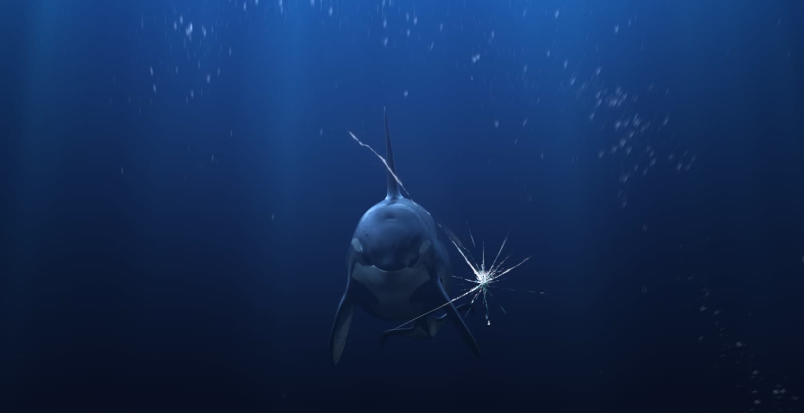 Der Schwarm — the whale cracking the glass